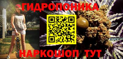 дживик Пенза