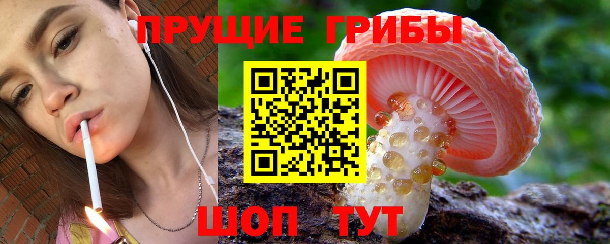 Псилоцибиновые грибы Psilocybe Петропавловск-Камчатский
