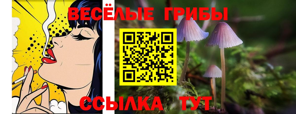 ГАШ  Вход с VPN  Петропавловск-Камчатский  А ПВП СОЛЬ кристаллы  Канабис  АМФЕТАМИН   Метадон  Меф кристаллы  COCAIN 